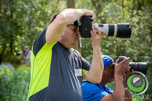 A_DSC9828LR_