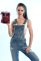 Painter